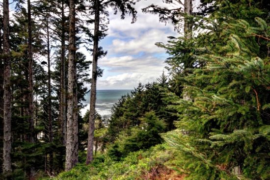 Cannon Beach