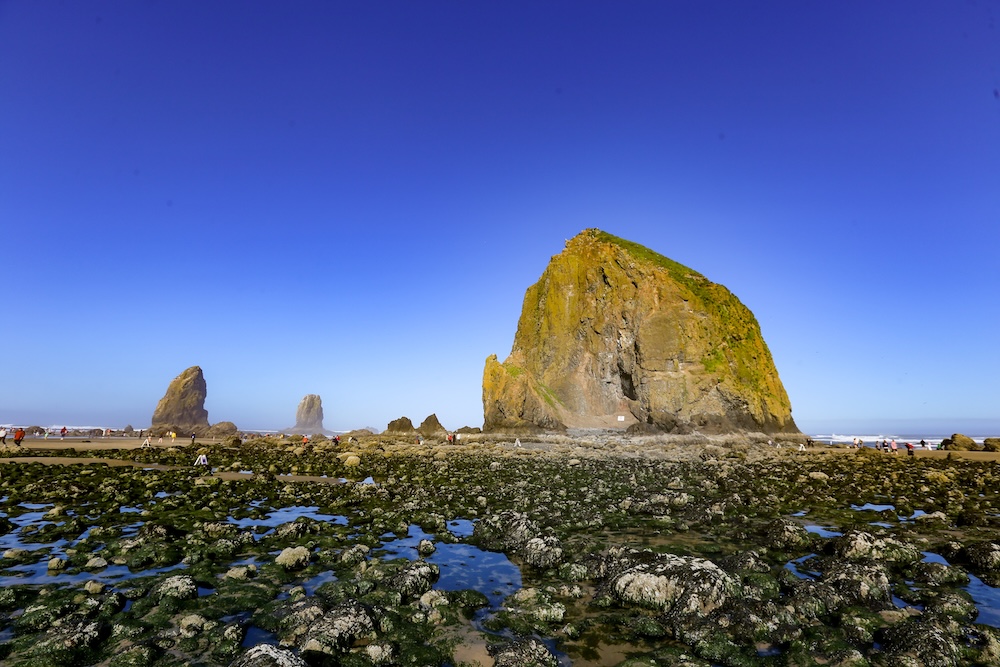 Haystack Rock Tide Pools