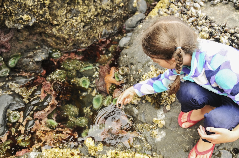 Tide Pool Little Girl