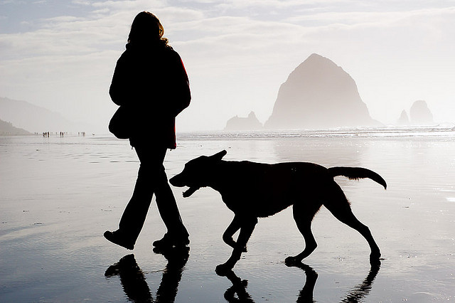 Cannon Beach Pet Friendly Rentals Owner and dog walking the beach near the surf