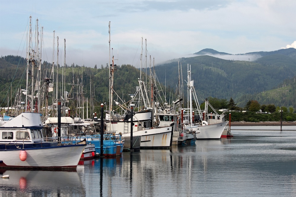 Fishing boats at a marina