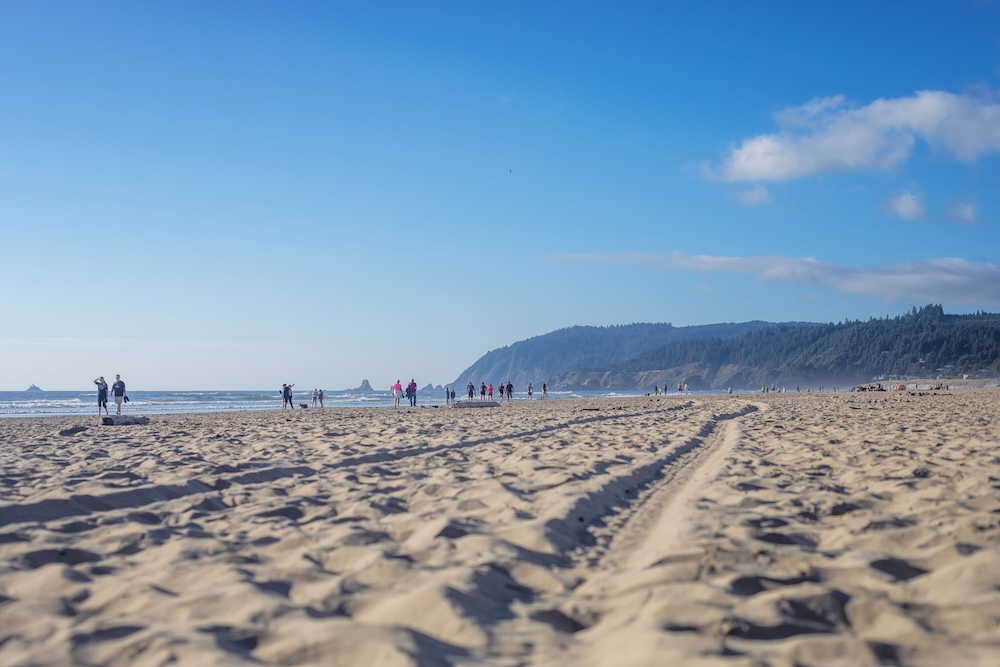 TolovanaBeach OregonPeopleon Beach
