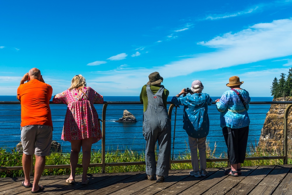 People looking for Gray Whales from the shore in coastal Oregon